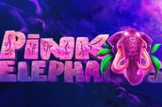 Играть в 🐘 Pink Elephants – магический слот в Play Fortuna 🎰✨